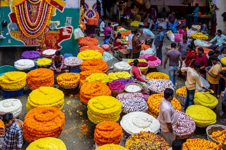 Bangalore 2013